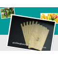 High Grade Composite Paper Ageing-Resistant Moisture-Penetrability Environmental Fruit Cultivation Paper Bag for Mango to Prevent Pesticides Pollution